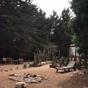 The Tebito Lodge. Beach & Forest. Glamping - Image 5