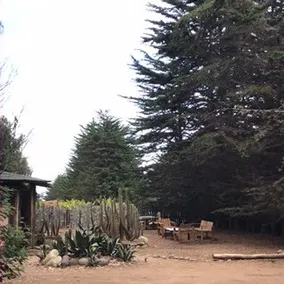 The Tebito Lodge. Beach & Forest. Glamping - Image 3