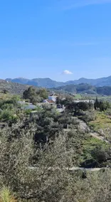 ”Golondrina” house with private pool - Image 3