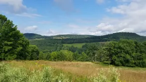 Catskills Cottage w/ Hot Tub & View - Image 5