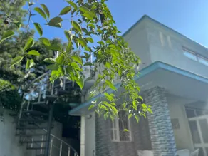 AruBhi Cottage - Image 3