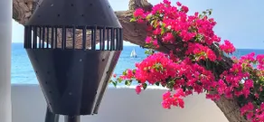 Premium Home-180 º Ocean View! - Image 5
