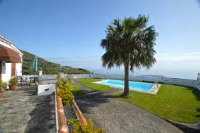 Simón - Image 5