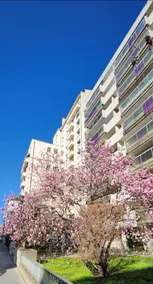 *FULL SOUTH* -Terrace-Garage-Netflix-AirCondition. - Image 2