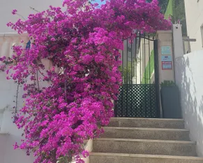 Villa next to the beach. In 2 minutes, the sea - Image 2