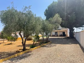 Villa Susan - Image 4