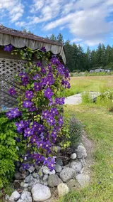Otter Lake B&B - Image 2