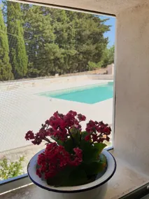 Private Pool - Amazing Masseria Blue from '800 - Image 4