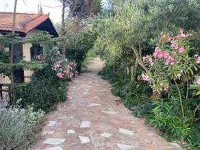Beautiful wooden house with garden in Kampos - Image 2