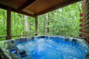 Mountaineer Cabin Cozy Getaway w/ Hot Tub Hico,WV - Image 2