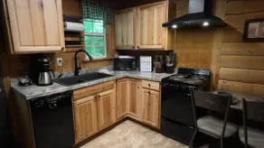 Maple Tree Cabin overlooking mountain stream. - Image 4