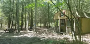 Cabin K at Abrams Creek - Image 5