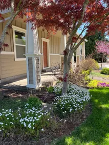 The Albany Guest House - Image 3