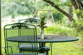 Earth Room Suite | Quiet Blue Ridge Retreat - Image 3