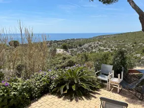 Les Cigales - Image 3