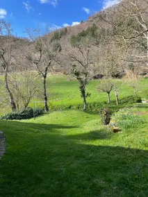 SO MAGIC - The house in the woods - Image 5
