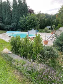 3 bedroom apartment in NP, salty pool, eco garden - Image 3