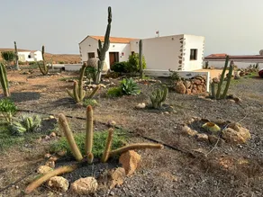 Cactus and Stone - Wellness - Image 3