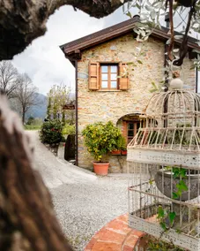 Sweets awaken in nature - Tuscany - Image 4