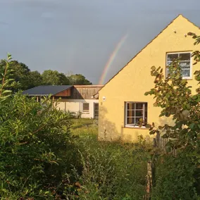 Peace and seclusion in the heart of the Uckermark - Image 2