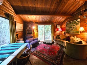Woodsy Dream Cabin w/ Hot Tub & Wi-Fi - Image 5