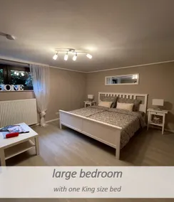 Basement apartment with private sauna - Image 5