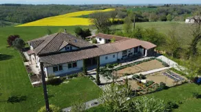French - Image 2