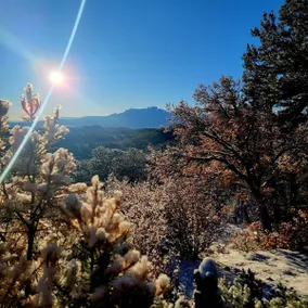 Quiet, Peaceful Cabin w/Fisher's Peak Views - Image 2