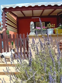 Casa Waida - Image 2