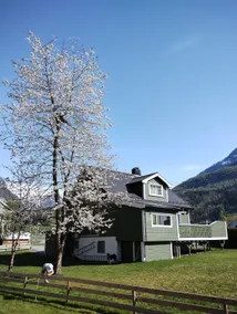 Close to fjords and mountains - Image 3