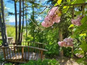 Alpenrose 3, Nordic Hottub, Deck, Mountain View - Image 5