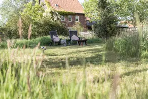 Peace|Dog|Fenced garden|Fire bowl - Image 5