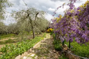Il Poggio Dell'Eremita - Image 3