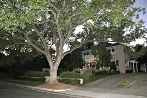 1922 Landmark Historic District Pasadena Home! - Image 3