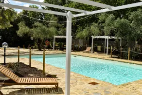 Apartment in The Heart of Chianti hills - Image 3