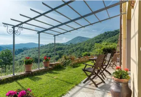 Villa Porcigliano Olive Grove - Image 3