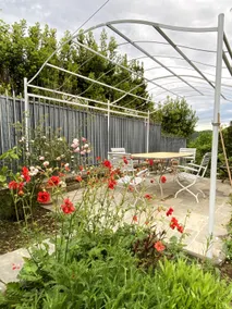 Villa Porcigliano Olive Grove - Image 4