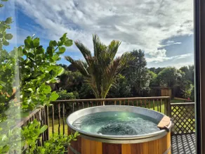 Nikauscapes - Hot Tub in Punakaiki village - Image 2