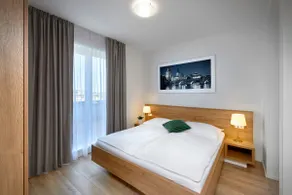 Penthouse with Terrace close to Prague Castle - Image 3