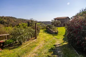 Home with a view in Scansano, Tuscany - Image 3