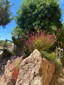 Porto Pino Sardinia Holiday Home - Image 2