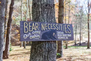 Bear Necessities Cabin Creek fishing relaxing hike - Image 2