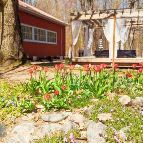 The Burrow @ Little Red Homestead - Image 3