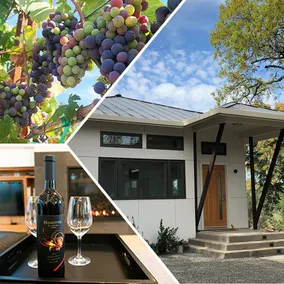 Wake Up in Your Own Private Vineyard - Healdsburg - Image 2