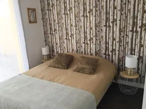 Logement rénové classé 3 étoiles à 250 m des plages - Image 3