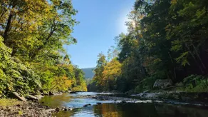 Stony Clove Cottage - sleeps 6, *maximum 4 adults* - Image 4