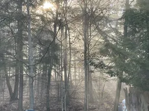 Journey’s End: A Peaceful Cabin - Image 5