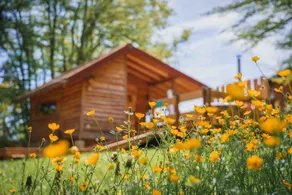Bois-Joli Cabin: Escape & Charm - Image 5