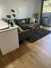 1 Bedroom Apartment next to Hospitals Central Hbrg - Image 3
