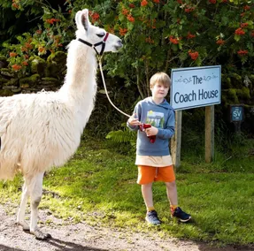 The Coach House at Durhamhill with llamas & games room mini cinema - Image 5